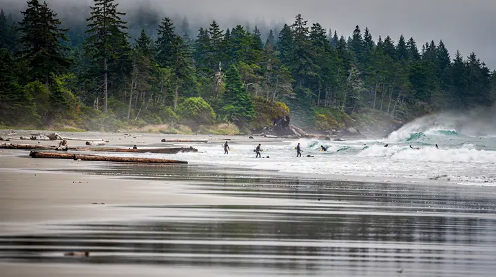 Pacific Rim National Park