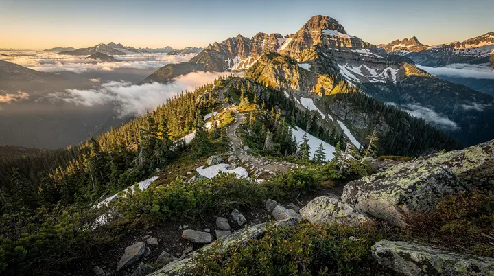 Grouse Mountain Vancouver: Skyride, Grizzly Bear Refuge, and Lumberjack Show