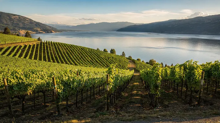 Okanagan wijngids: 200+ wijnboerderijen en hoe u ze proeft