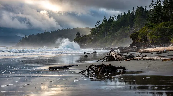 Pacific Rim National Park Reserve: de wilde westkust van Vancouver Island