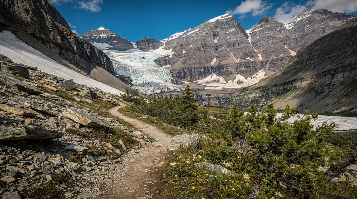 Wandeling Plain of Six Glaciers en theehuis: alles wat u moet weten
