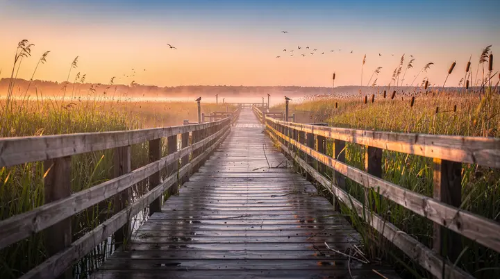 Gids voor Nationaal Park Point Pelee: vogelmigratie aan Canada's zuidelijkste punt