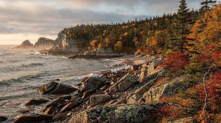 Gids voor Nationaal Park Terra Nova: de boreale kust-wildernis van Newfoundland