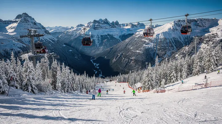 Whistler Bike Park: de complete gids voor downhill mountainbiken in de zomer